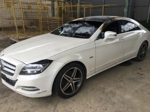 Mercedes incidentata